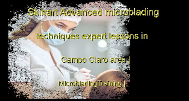 Skinart Advanced microblading techniques expert lessons in Campo Claro area | MicrobladingTraining | MicrobladingClasses | SkinartTraining-Venezuela